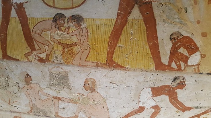 egitto donne campi tomba di menna