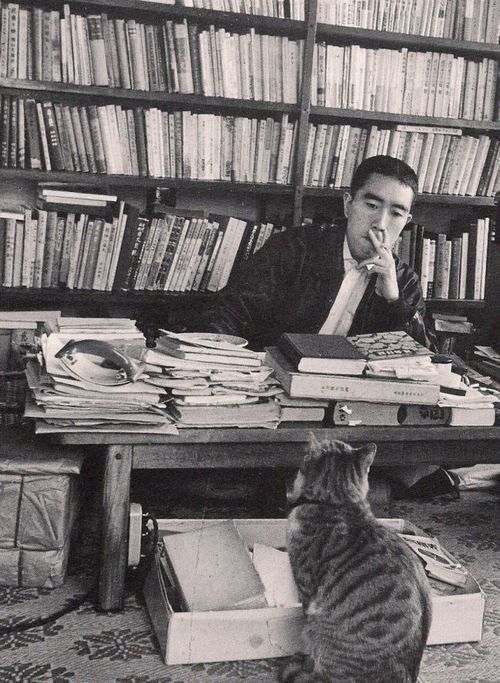 mishima gatti