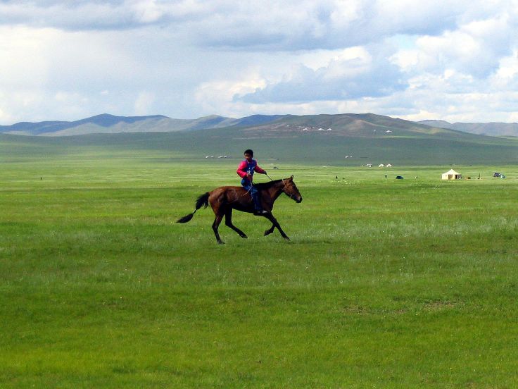 1280px-naadam_rider_2