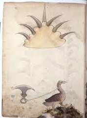 58922492_821454434884468_4953768829135093760_n